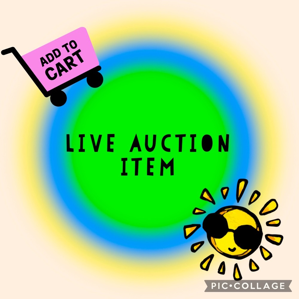 Live auction item💙